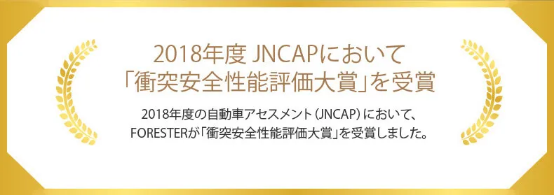 2018年度 JNCAPにおいて「衝突安全性能評価大賞」を受賞